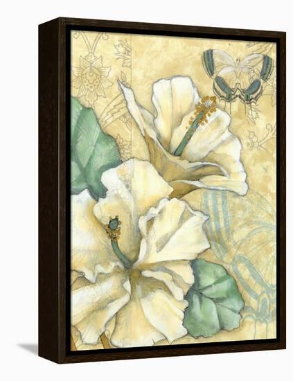 Small Hibiscus Medley II-Jennifer Goldberger-Framed Stretched Canvas