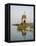 Small Hindu Temple in Middle of the Narmada River, Maheshwar, Madhya Pradesh State, India-R H Productions-Framed Premier Image Canvas