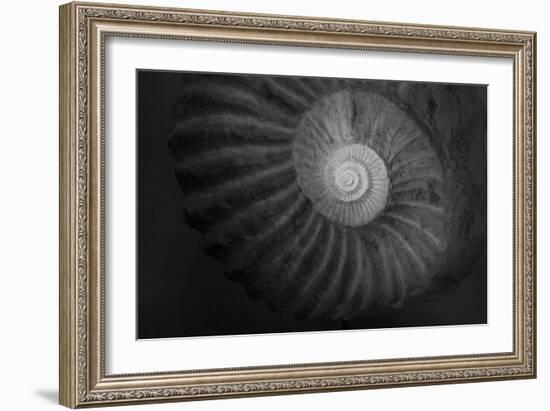 Small infinity-Moises Levy-Framed Photographic Print