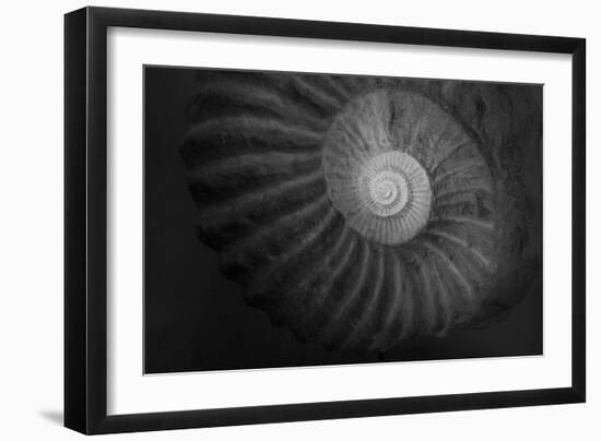 Small infinity-Moises Levy-Framed Photographic Print