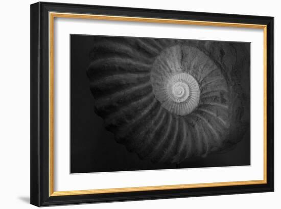 Small infinity-Moises Levy-Framed Photographic Print