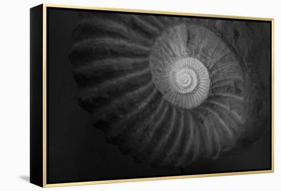 Small infinity-Moises Levy-Framed Premier Image Canvas