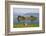 Small Island in Hardangerfjorden Nr Bergen, Western Fjords, Norway-Peter Adams-Framed Photographic Print