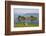 Small Island in Hardangerfjorden Nr Bergen, Western Fjords, Norway-Peter Adams-Framed Photographic Print