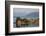 Small Island in Hardangerfjorden Nr Bergen, Western Fjords, Norway-Peter Adams-Framed Photographic Print