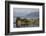 Small Island in Hardangerfjorden Nr Bergen, Western Fjords, Norway-Peter Adams-Framed Photographic Print