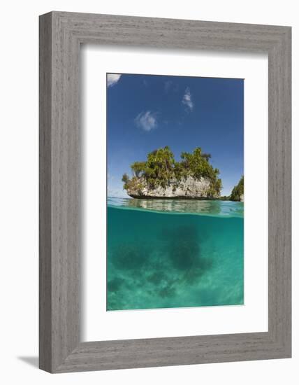 Small Island off Palau, Micronesia-Reinhard Dirscherl-Framed Photographic Print