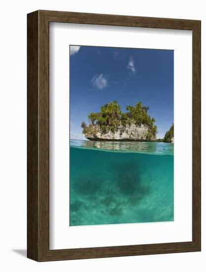 Small Island off Palau, Micronesia-Reinhard Dirscherl-Framed Photographic Print