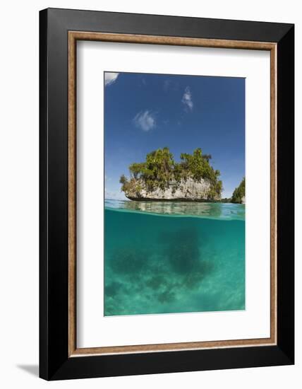 Small Island off Palau, Micronesia-Reinhard Dirscherl-Framed Photographic Print