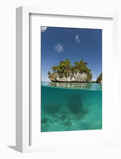 Small Island off Palau, Micronesia-Reinhard Dirscherl-Framed Photographic Print