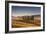 Small Isle of Cypress Trees in a Field in the Evening, Tuscany, Italy-null-Framed Photographic Print