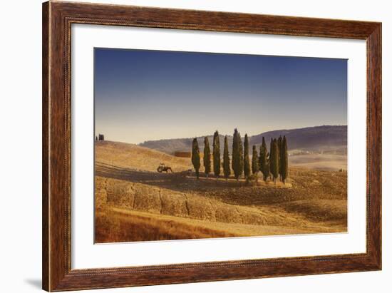 Small Isle of Cypress Trees in a Field in the Evening, Tuscany, Italy-null-Framed Photographic Print