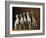 Small Italian Greyhounds Five Sitting Down Together-null-Framed Photographic Print