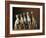 Small Italian Greyhounds Five Sitting Down Together-null-Framed Photographic Print