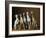 Small Italian Greyhounds Five Sitting Down Together-null-Framed Photographic Print