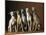Small Italian Greyhounds Five Sitting Down Together-null-Mounted Photographic Print