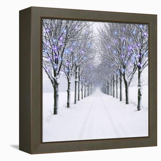 Small-Leaved Lime Trees in Winter Snow-Ake Lindau-Framed Premier Image Canvas