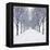 Small-Leaved Lime Trees in Winter Snow-Ake Lindau-Framed Premier Image Canvas