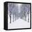 Small-Leaved Lime Trees in Winter Snow-Ake Lindau-Framed Premier Image Canvas