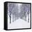 Small-Leaved Lime Trees in Winter Snow-Ake Lindau-Framed Premier Image Canvas