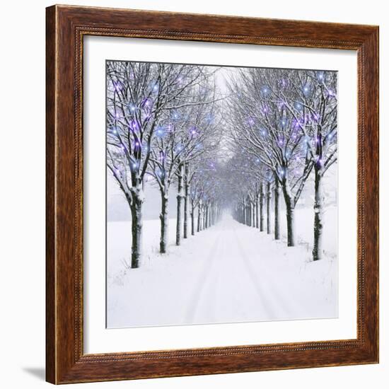 Small-Leaved Lime Trees in Winter Snow-Ake Lindau-Framed Photographic Print