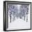 Small-Leaved Lime Trees in Winter Snow-Ake Lindau-Framed Photographic Print