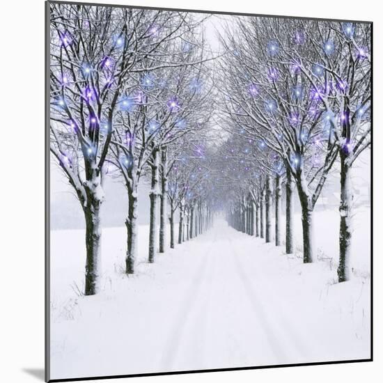 Small-Leaved Lime Trees in Winter Snow-Ake Lindau-Mounted Photographic Print