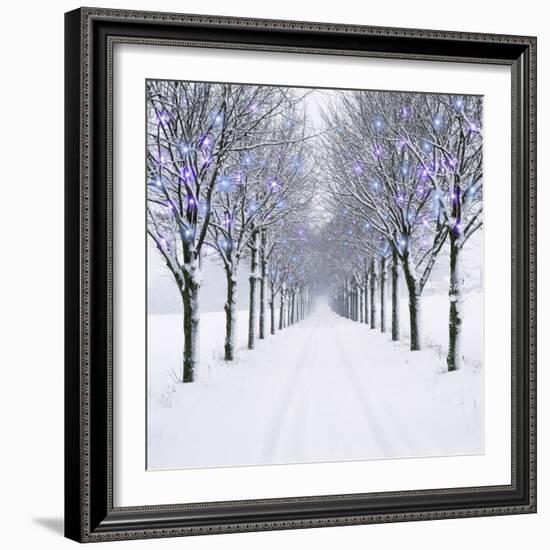 Small-Leaved Lime Trees in Winter Snow-Ake Lindau-Framed Photographic Print