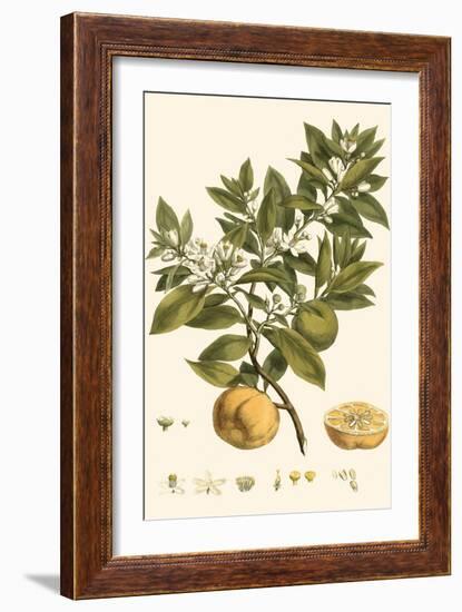 Small Miller's Bounty I-John Miller-Framed Art Print