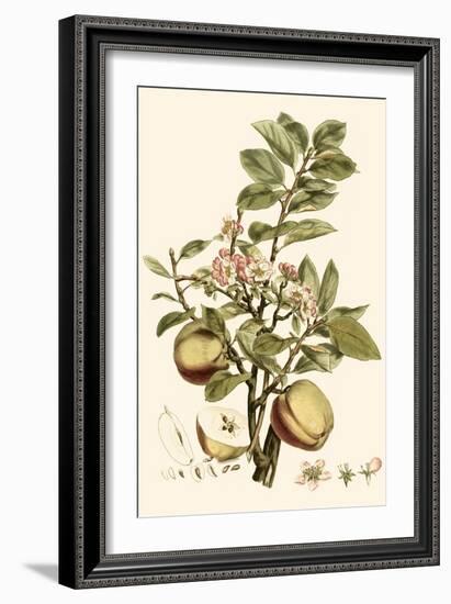 Small Miller's Bounty II-John Miller-Framed Art Print