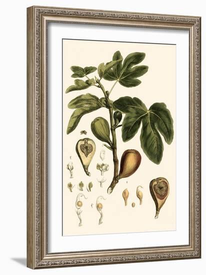 Small Miller's Bounty III-John Miller-Framed Art Print