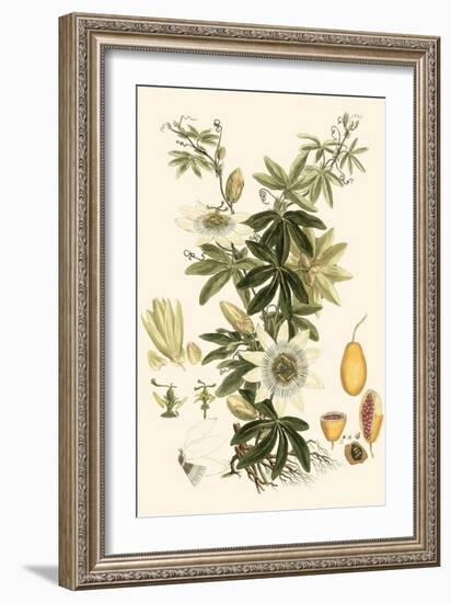 Small Miller's Bounty IV-John Miller-Framed Art Print