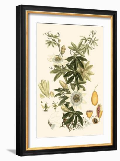 Small Miller's Bounty IV-John Miller-Framed Art Print