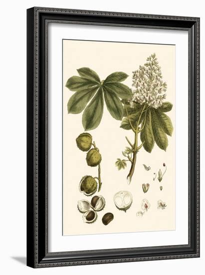 Small Miller's Bounty V-John Miller-Framed Art Print