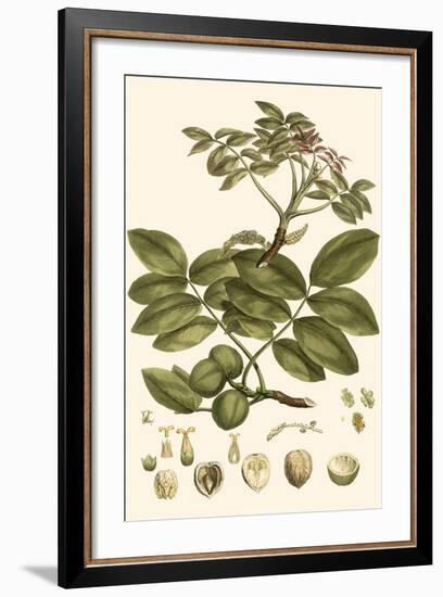 Small Miller's Bounty VI-John Miller-Framed Art Print