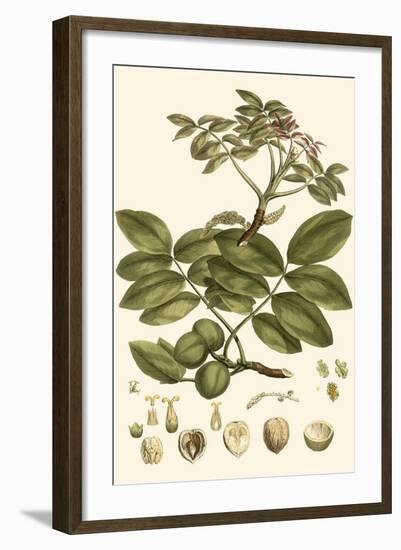 Small Miller's Bounty VI-John Miller-Framed Art Print