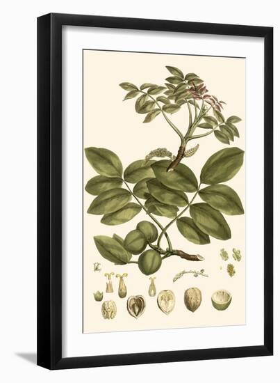 Small Miller's Bounty VI-John Miller-Framed Art Print