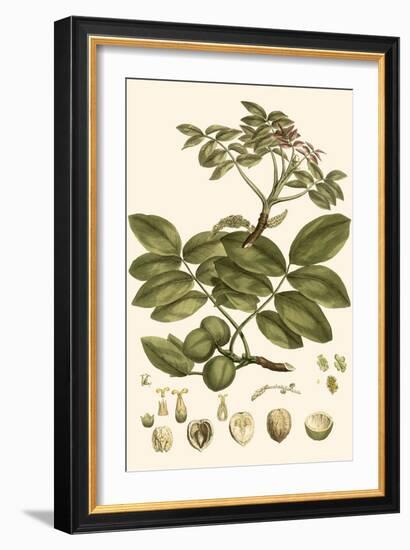 Small Miller's Bounty VI-John Miller-Framed Art Print