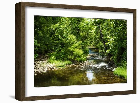 Small Mountain Stream I-Alan Hausenflock-Framed Photographic Print