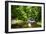 Small Mountain Stream I-Alan Hausenflock-Framed Photographic Print