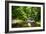 Small Mountain Stream I-Alan Hausenflock-Framed Photographic Print