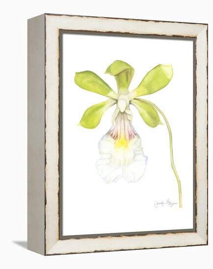 Small Orchid Beauty I-Jennifer Goldberger-Framed Stretched Canvas