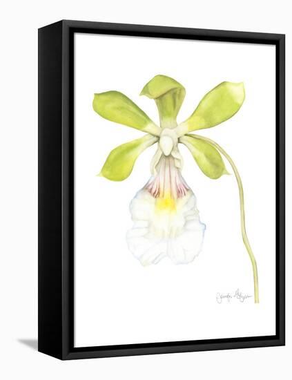 Small Orchid Beauty I-Jennifer Goldberger-Framed Stretched Canvas