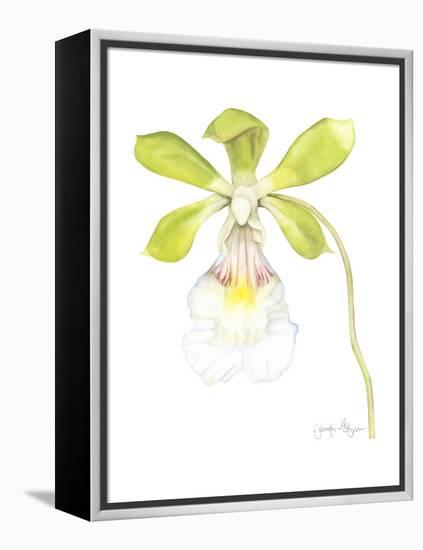 Small Orchid Beauty I-Jennifer Goldberger-Framed Stretched Canvas