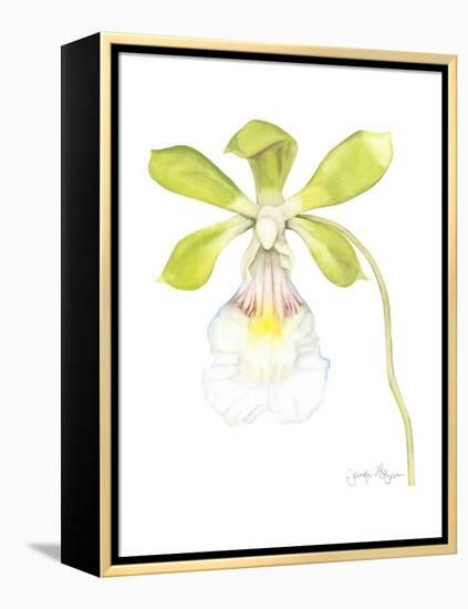 Small Orchid Beauty I-Jennifer Goldberger-Framed Stretched Canvas