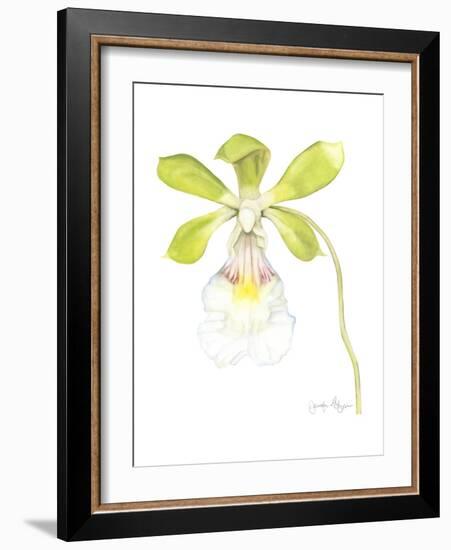 Small Orchid Beauty I-Jennifer Goldberger-Framed Premium Giclee Print