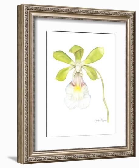 Small Orchid Beauty I-Jennifer Goldberger-Framed Art Print