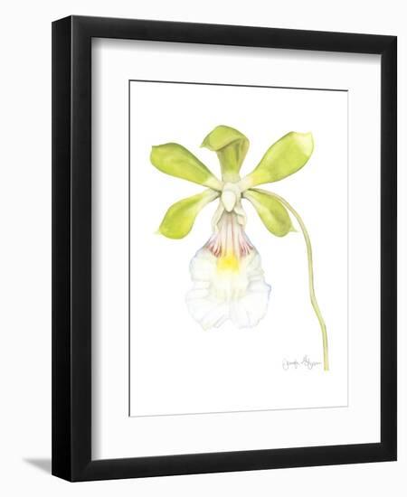 Small Orchid Beauty I-Jennifer Goldberger-Framed Art Print