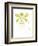 Small Orchid Beauty I-Jennifer Goldberger-Framed Art Print