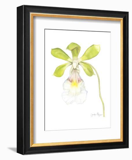 Small Orchid Beauty I-Jennifer Goldberger-Framed Art Print